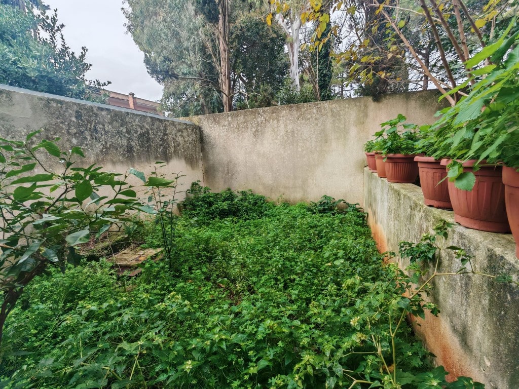 Giano Group Immobiliare